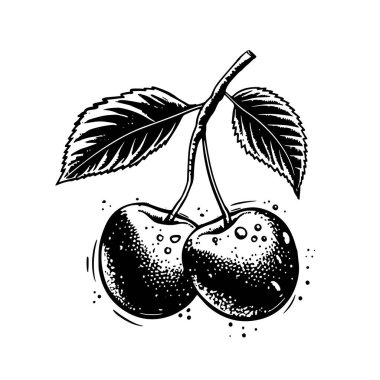 Beyaz zemin üzerine siyah çizili kiraz çizgisi