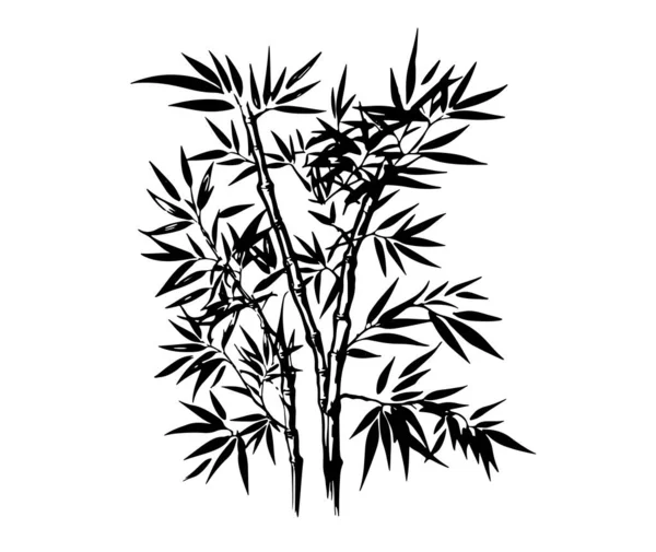 竹の木 手のスタイルを描いた ベクトル — ストックベクタ