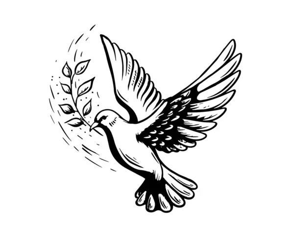 オリーブの小枝で平和の鳩を飛んで 手描きイラスト ベクトル — ストックベクタ