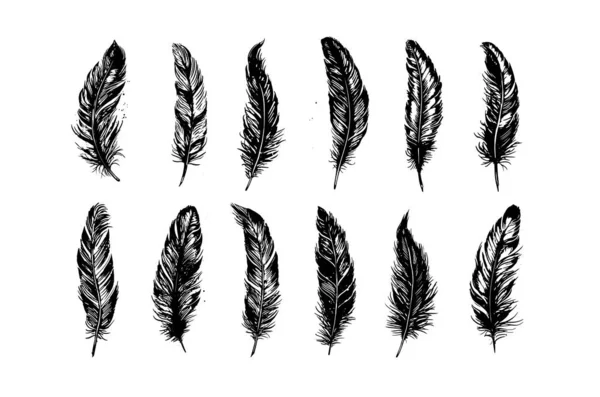 Feather Dessiné Main Dessin Ligne Noir Sur Fond Blanc — Image vectorielle