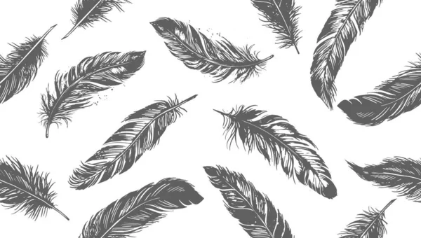 Feather Dessiné Main Dessin Ligne Noir Sur Fond Blanc — Image vectorielle