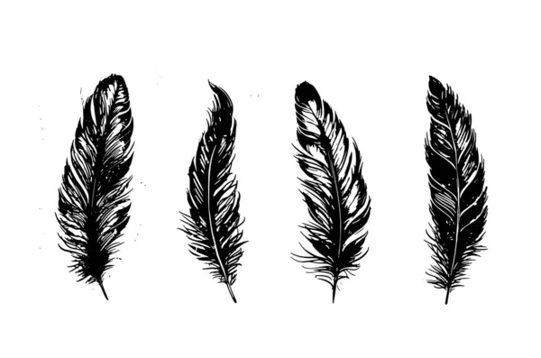 羽毛手绘 在白色背景上画出黑色线条 — 图库矢量图片