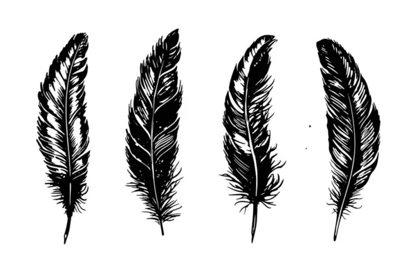 羽毛手绘 在白色背景上画出黑色线条 — 图库矢量图片