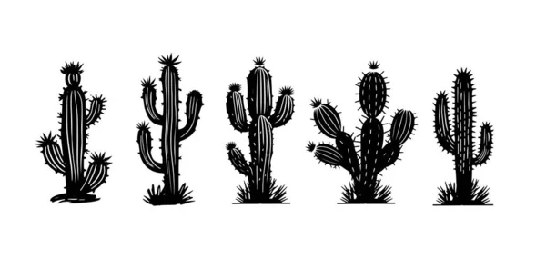 Kaktusz Készlet Kézzel Rajzolt Illusztrációk Vektor — Stock Vector