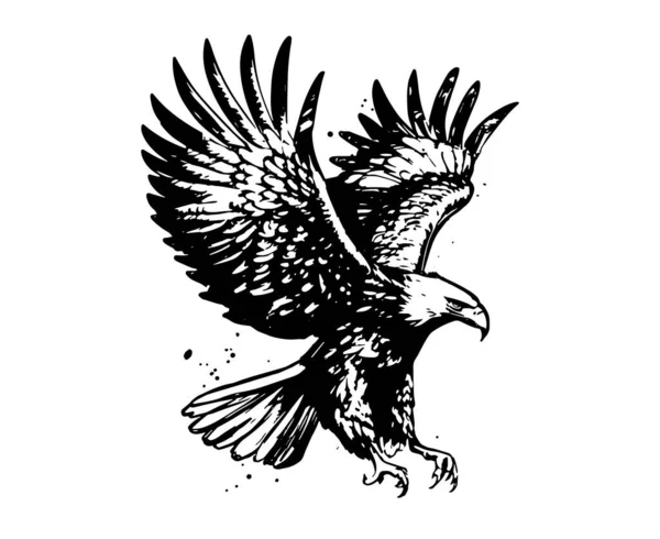 Eagle Mão Desenhado Ilustração Vetorial — Vetor de Stock