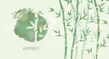 Bambu ağacı. El çizimi stili. Vektör illüstrasyonları.