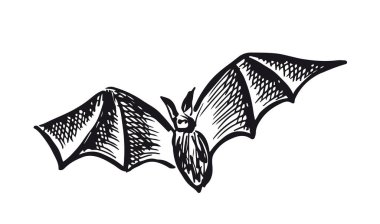 Yarasa desenli el çizimi çizimi