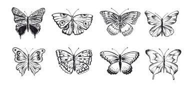 Butterfly hand drawn vector illustrations clipart