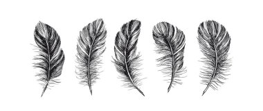 Tüyler ayarlandı, El çizimi biçim çizimleri çizimleri.