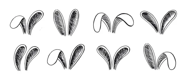 Set Rabbits Ears Hand Drawn Illustration — Stock Vector