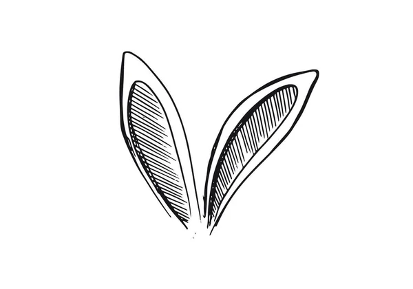 Een Stel Konijnen Oren Handgetekende Illustratie — Stockvector
