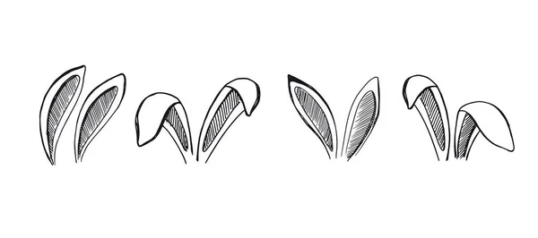 Des Oreilles Lapin Illustration Dessinée Main — Image vectorielle