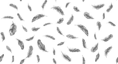 Vektör Siyah ve Beyaz Tüy Deseni