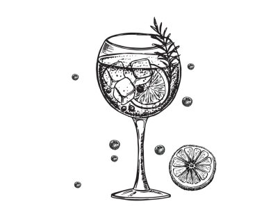 Alcoholic cocktails sketch. and drawn illustrations.