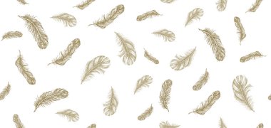  Tüy deseni ayarlandı, el çizimi