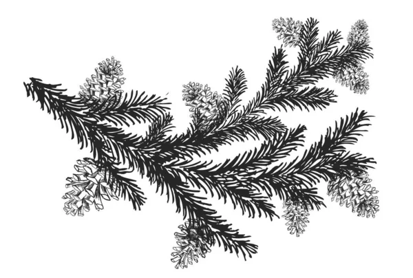 Árvore Natal Pinheiros Com Cones Ilustração Desenhada Mão — Vetor de Stock