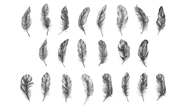 Vector Black White Feather Pattern — Stock Vector
