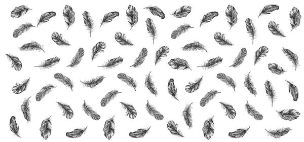 Набор иконок перьев. Ручной рисунок. Рисунок Дудла
.