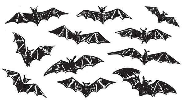 Esboço Morcego Ilustração Desenhada Mão — Vetor de Stock