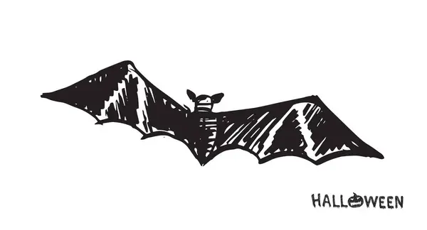 Fledermausskizze Handgezeichnete Illustration — Stockvektor