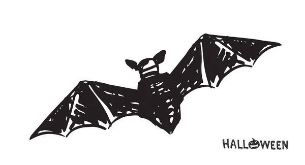 蝙蝠素描 手绘插图 — 图库矢量图片