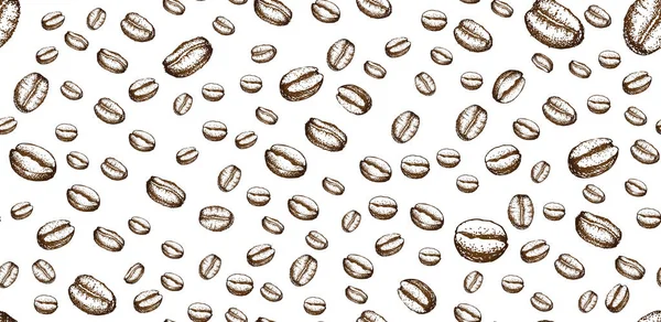 コーヒー豆の手描きスタイル ベクターイラスト — ストックベクタ