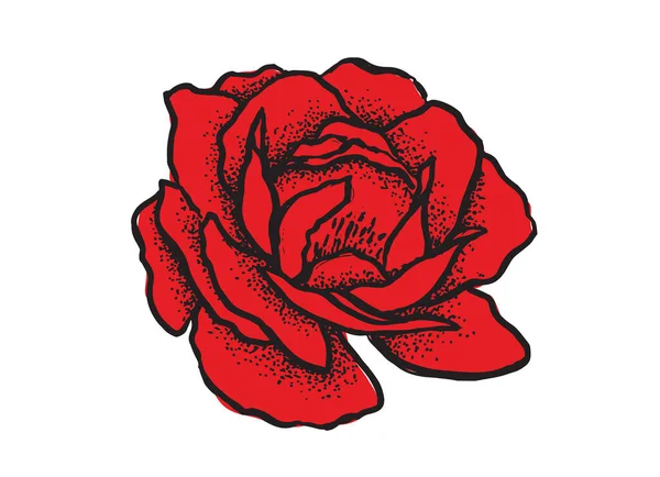 Rosa Flor Ilustración Dibujada Mano — Vector de stock