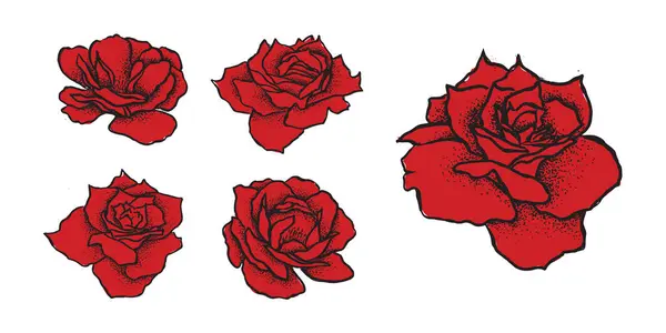 Rosa Flor Ilustración Dibujada Mano — Vector de stock