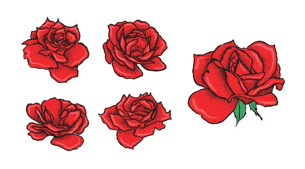 Rose Flower Hand Drawn Illustration — Stock Vector