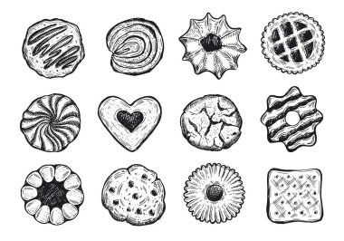 Kurabiye el çizimi illüstrasyon. Vektör.