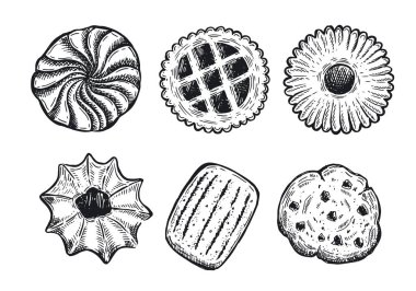 Kurabiye el çizimi illüstrasyon. Vektör.