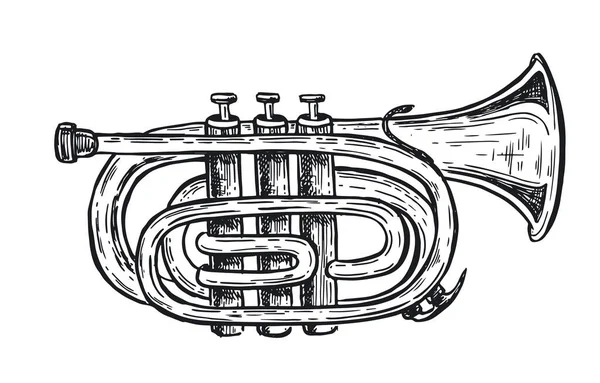 Trumpet Musical Instruments Hand Drawn Illustration Vector — Stock Vector