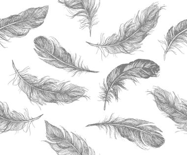 Vektör Siyah ve Beyaz Tüy Deseni