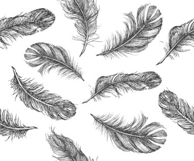 Vektör Siyah ve Beyaz Tüy Deseni