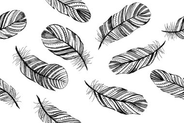 Tüylü Kalıp el çizimi