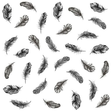 Tüylü Kalıp el çizimi