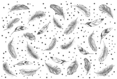 Tüylü Kalıp el çizimi