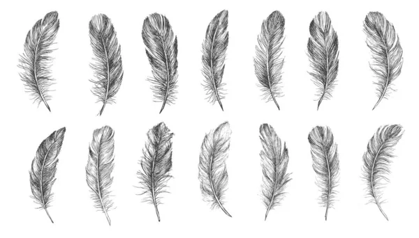 Vector Black White Feather Pattern — Stock Vector