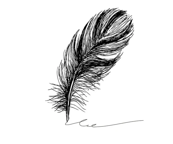 黑色和白色羽毛图案矢量 — 图库矢量图片