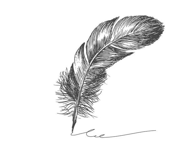 黑色和白色羽毛图案矢量 — 图库矢量图片