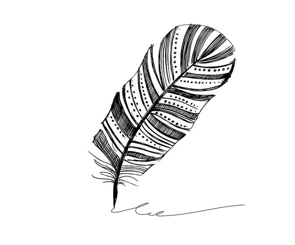 ベクトル黒と白の羽模様 — ストックベクタ