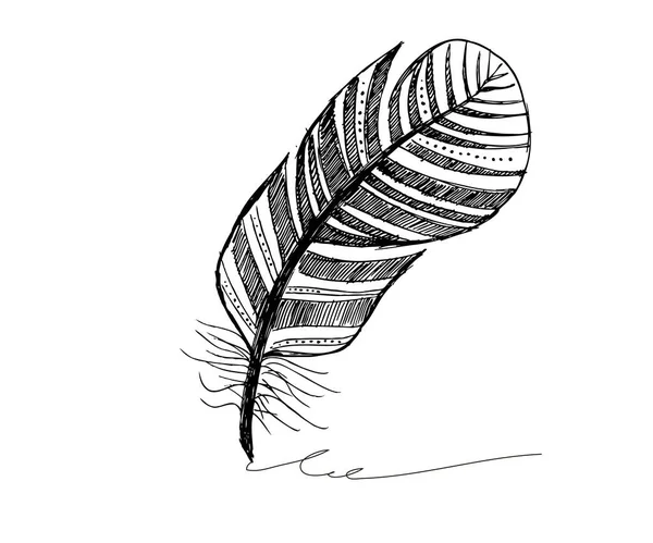 Modèle Plume Noir Blanc Vectoriel — Image vectorielle