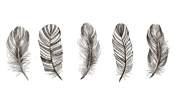 描かれた羽模様の手 — ストックベクタ