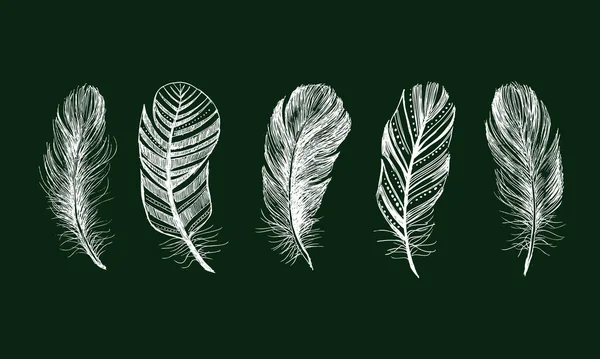 Feather Pattern Hand Drawn — Stock Vector