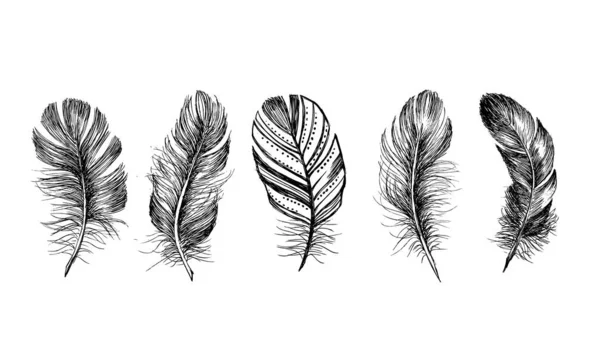 描かれた羽模様の手 — ストックベクタ