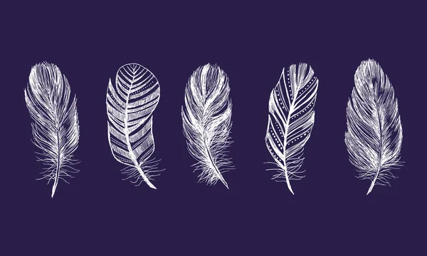 Feather Pattern Hand Drawn — Stock Vector