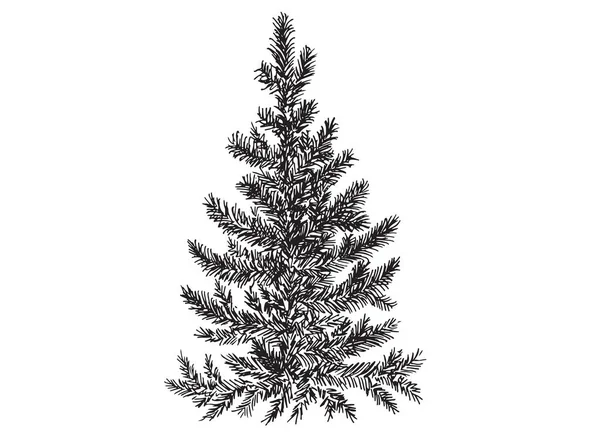 Christmas Tree Hand Drawn Style Vector Illustration — Stock Vector