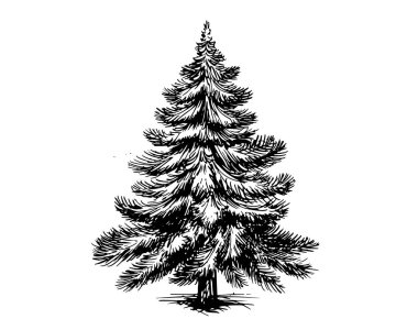 Noel ağacı el çizimi illüstrasyon