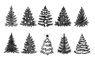 Noel ağacı el çizimi illüstrasyon