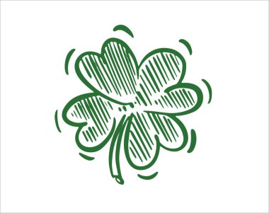 Beyaz arka planda bir Clover. Aziz Patrick Günü. El çizimi çizimleri.